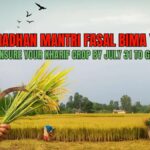 Pradhan Mantri Fasal Bima Yojana 2025: जानिए नए अपडेट और इसके फायदे